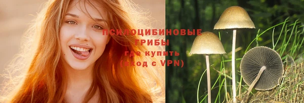 сатива Киреевск