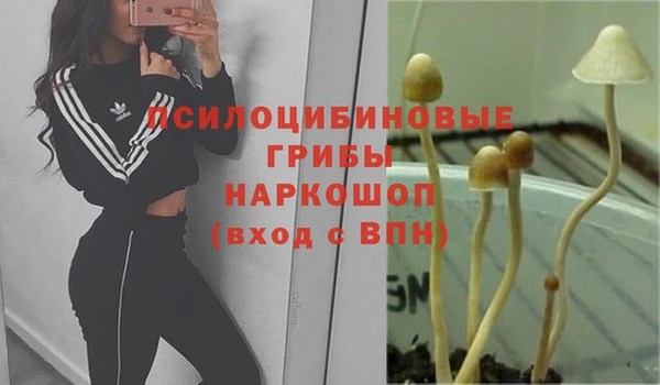 MDMA Киренск