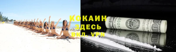 сатива Киреевск