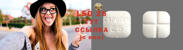 дживик Касимов