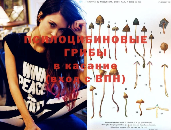 индика Карталы