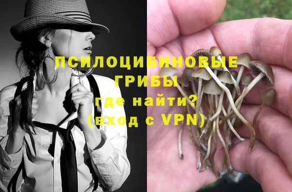 спиды Кинешма