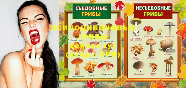 дживик Касимов