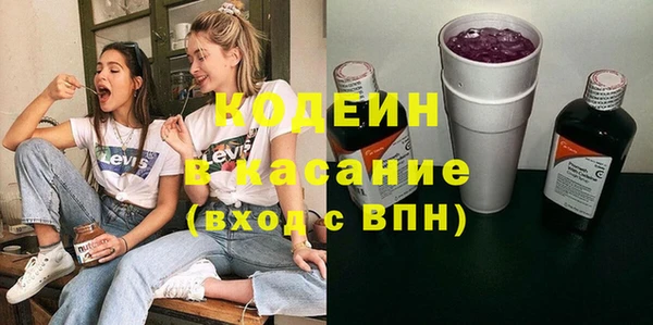 индика Карталы