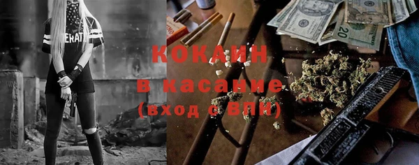 индика Карталы