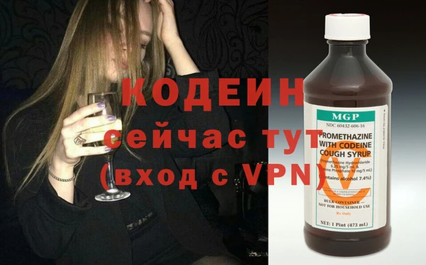 индика Карталы