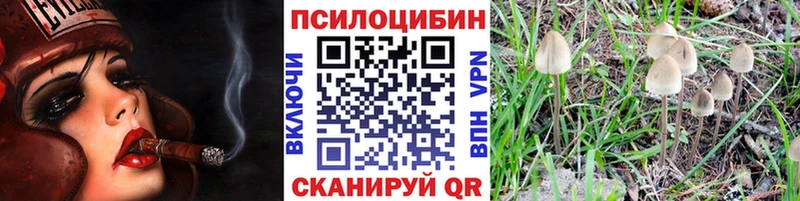 Псилоцибиновые грибы Psilocybine cubensis  Купить закладки  Новодвинск 